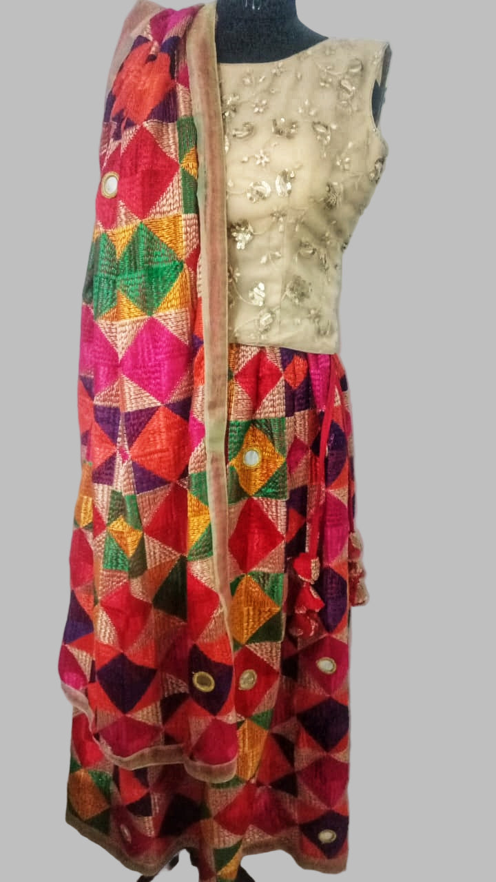 Bagh Phulkari Skirt