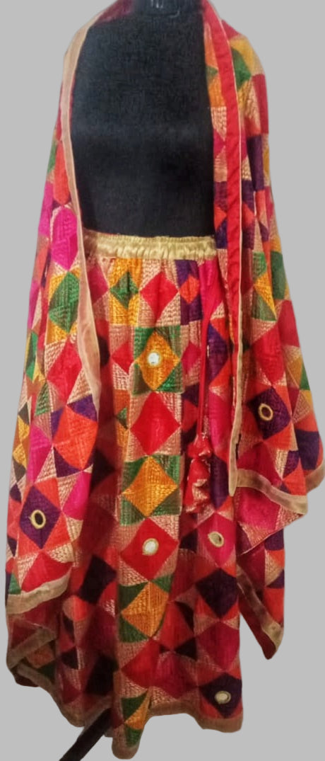 Bagh Phulkari Skirt